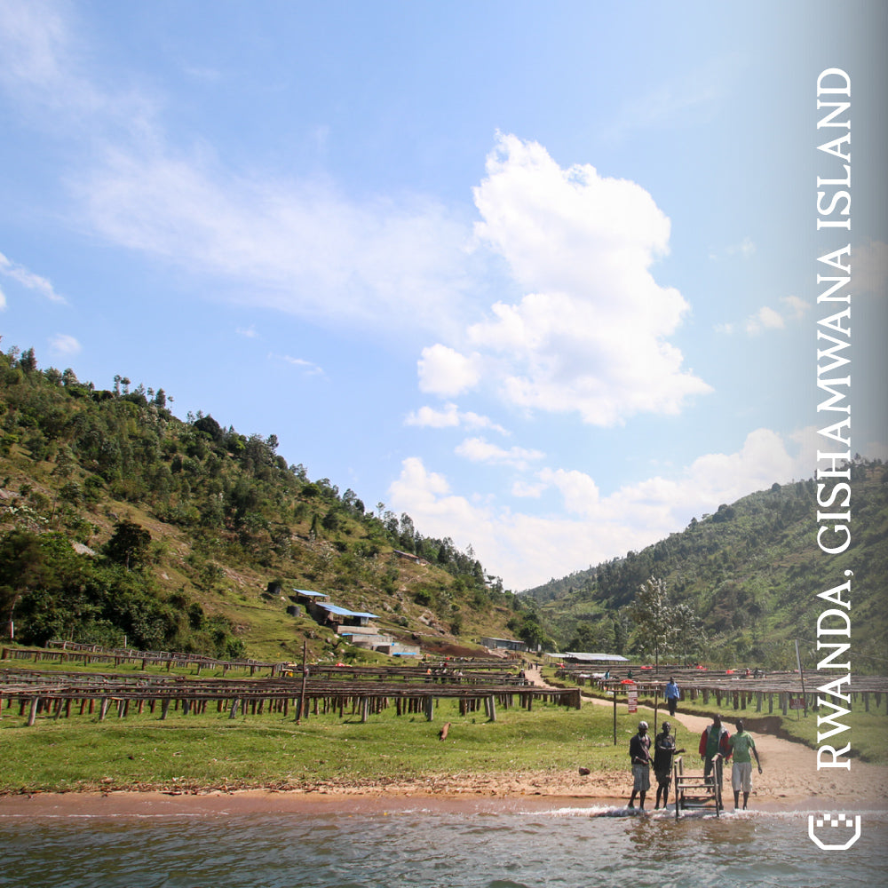 Rwanda Gishamwana Island - Single Origin Espresso